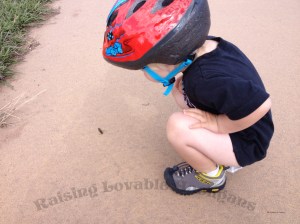 Pants not required when investigating bugs.